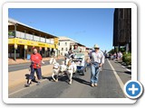 Barcaldine Tree of Knowledge Festival 
- May Day Parade