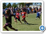 Barcaldine Tree of Knowledge Festival 
