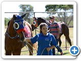 Barcaldine Tree of Knowledge Festival 
- Barcaldine Cup Race Day