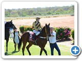 Barcaldine Tree of Knowledge Festival 
- Barcaldine Cup Race Day