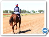 Barcaldine Tree of Knowledge Festival 
- Barcaldine Cup Race Day