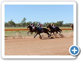 Barcaldine Tree of Knowledge Festival 
- Barcaldine Cup Race Day