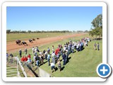 Barcaldine Tree of Knowledge Festival 
- Barcaldine Cup Race Day