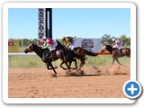 Barcaldine Tree of Knowledge Festival 
- Barcaldine Cup Race Day