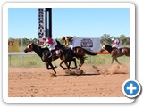 Barcaldine Tree of Knowledge Festival 
- Barcaldine Cup Race Day