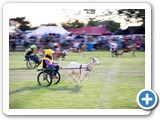 Barcaldine Tree of Knowledge Festival 
- Town Party