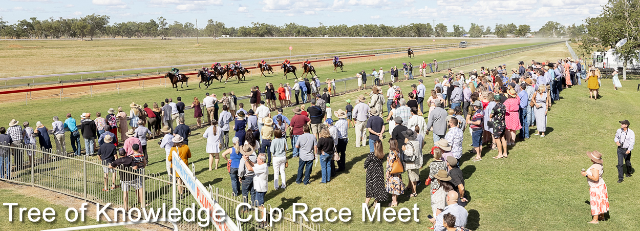 Barcaldine Tree of Knowledge Festival - Barcaldine Cup Race Day